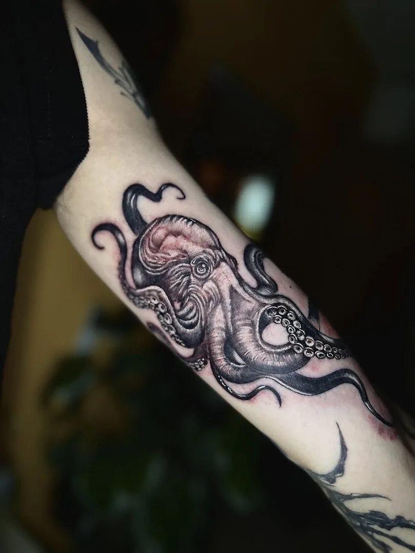 INK99 Studio