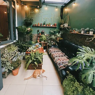 Tamden Tattoo - Tiệm Xăm Trong Hẻm