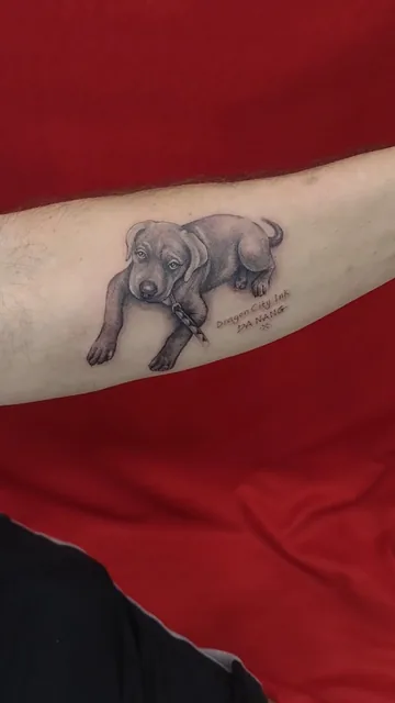 Dragon City Ink Tattoo & Piercing Studio