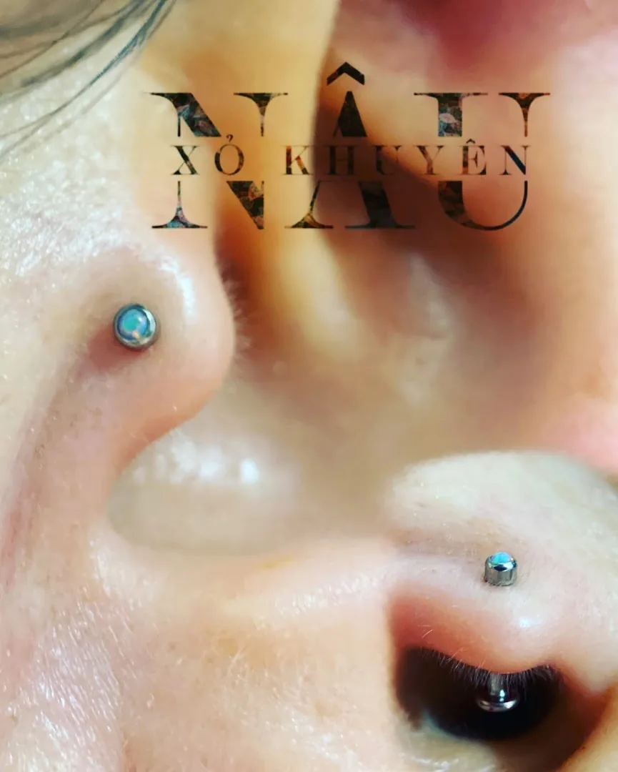 Nâu xỏ khuyên piercing professional Đà Nẵng