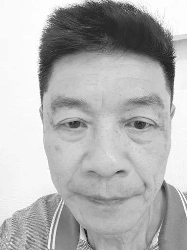 Quinnbrows - Natural Hairstroke Brows Danang
