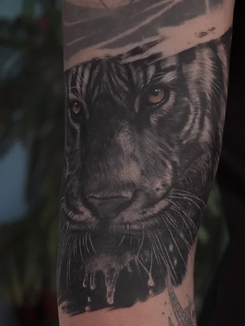 DAMEE Art
