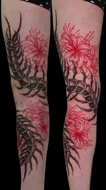 Lantern and Moth Tattoo Shop Da Nang | Best Tattoo Shop In Da Nang