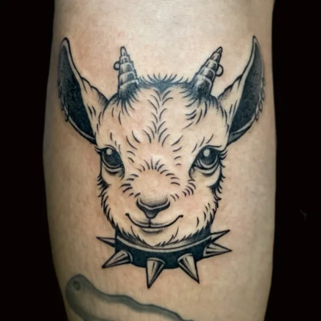 Lantern and Moth Tattoo Shop Da Nang | Best Tattoo Shop In Da Nang