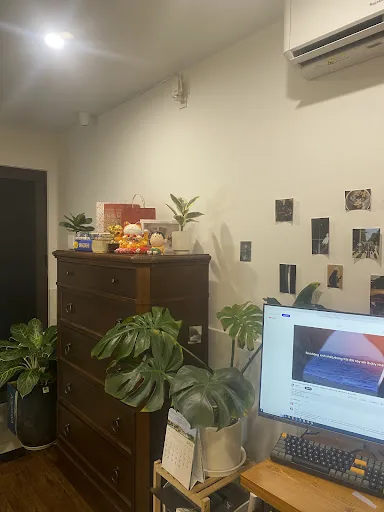 Review photo