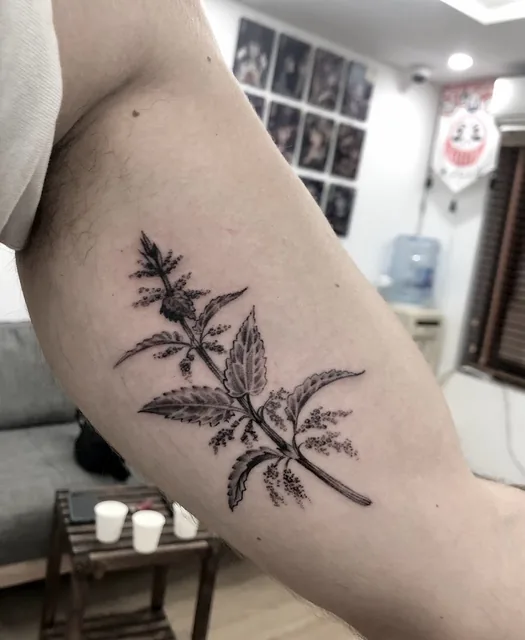 Hanoi Tattoo Studio