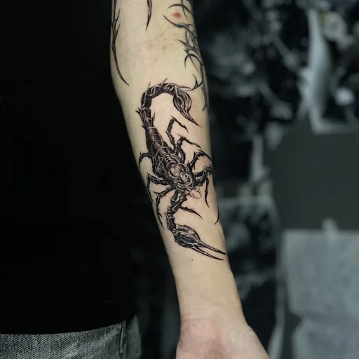 Ink Haven Studio